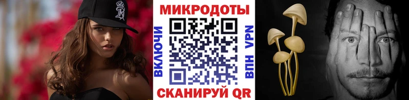 Псилоцибиновые грибы Psilocybe  Можайск 